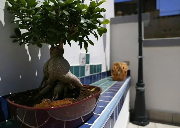 La Dukesca Chic Apartament