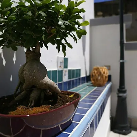 La Dukesca Chic Apartamento